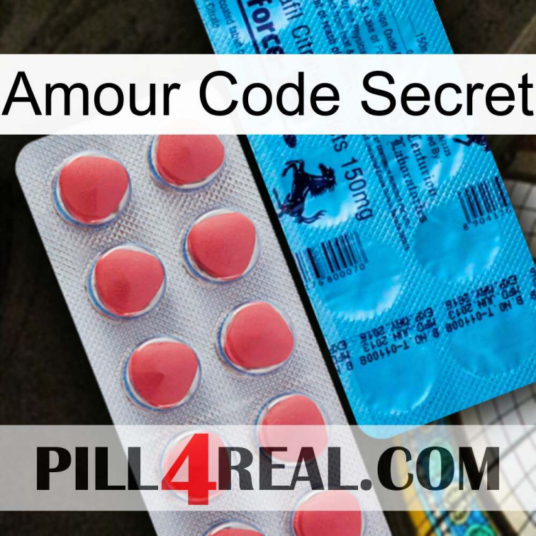Love Secret Code new14